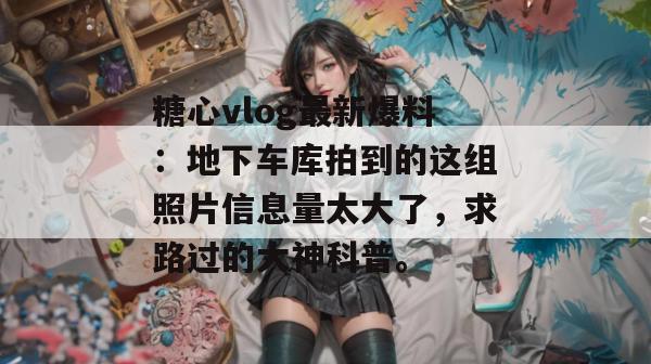 糖心vlog最新爆料：地下车库拍到的这组照片信息量太大了，求路过的大神科普。
